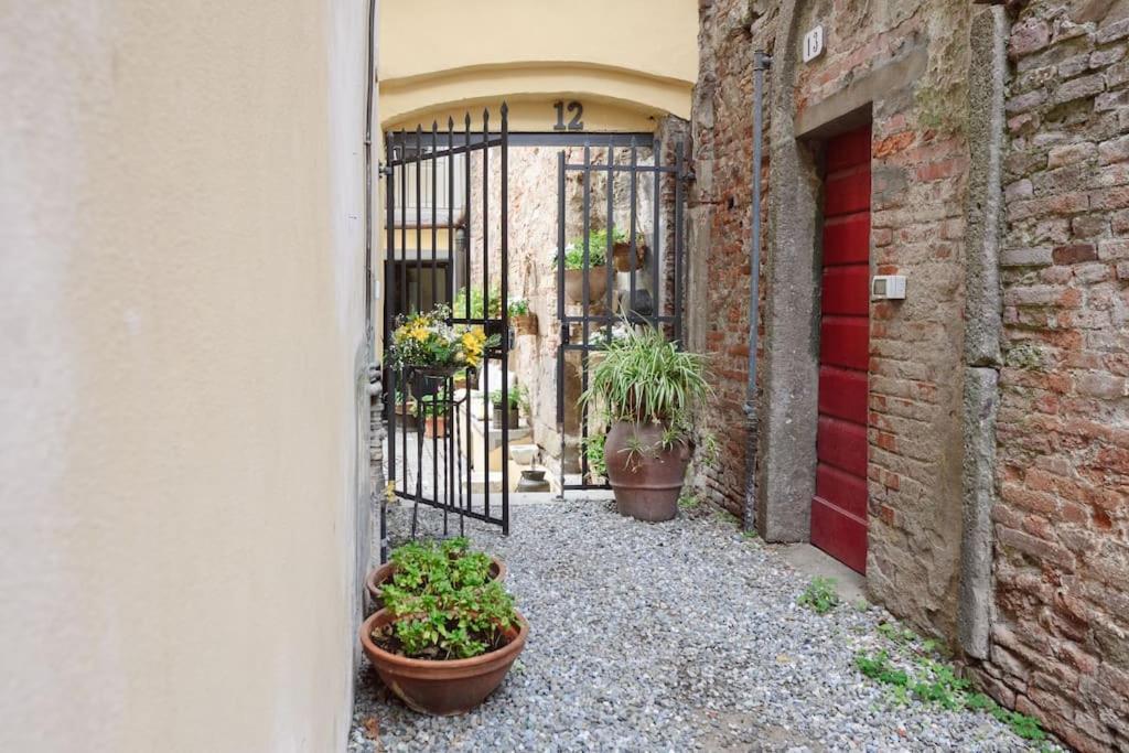 Corte Paolina - Charming Courtyard Inside Lucca Eksteriør bilde