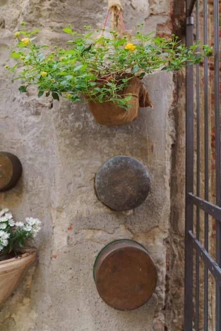 Corte Paolina - Charming Courtyard Inside Lucca Eksteriør bilde